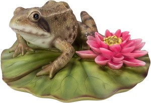FROG ON LILY PAD D